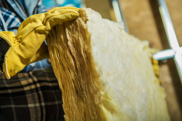 Best Insulation Installation Services in South Bloomfield, OH